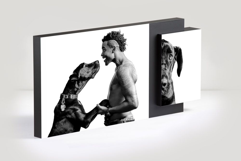 Modern acrylic portrait wall art premium gallery print