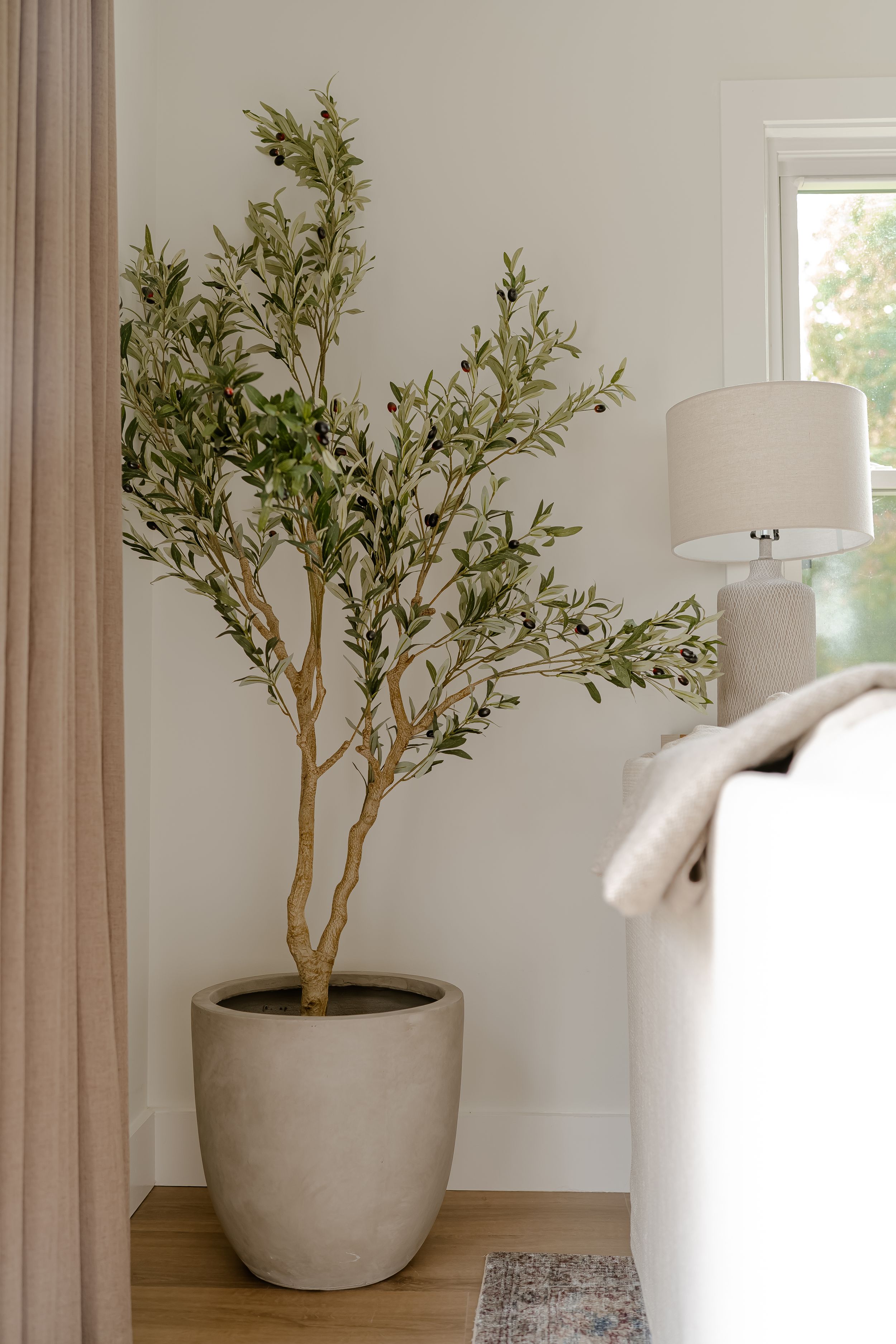A tall olive tree in a modern gray concrete planter sits beside a white table lamp in a bright, minimalist room.