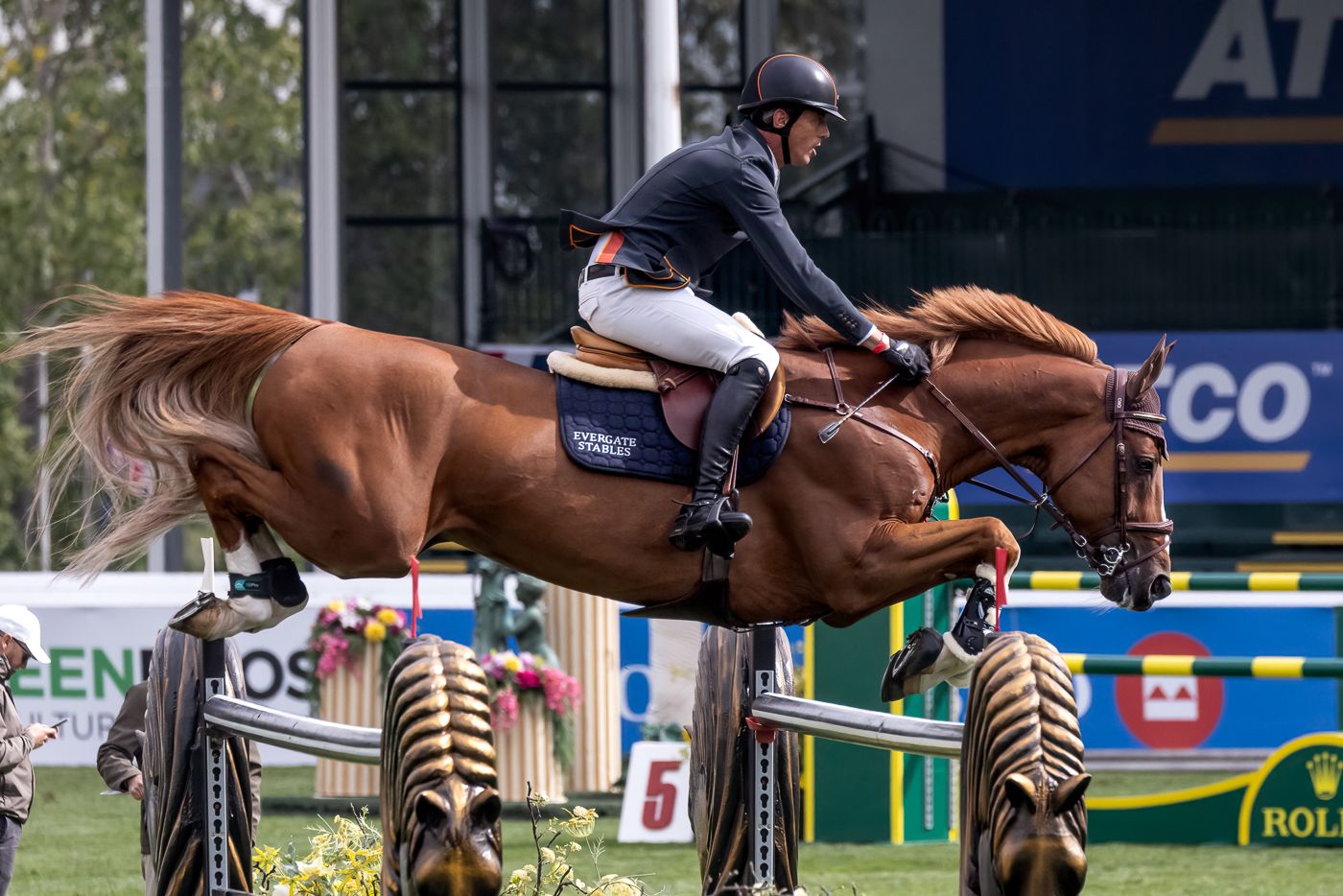 Horse and rider clearing a high jump obstacle during an equestrian show jumping competition.