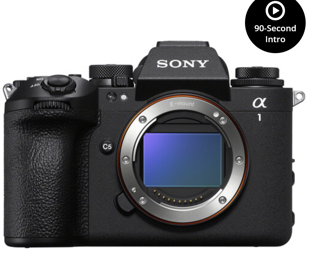 Sony Alpha mirrorless camera body showing the exposed sensor mount and electronic contacts.