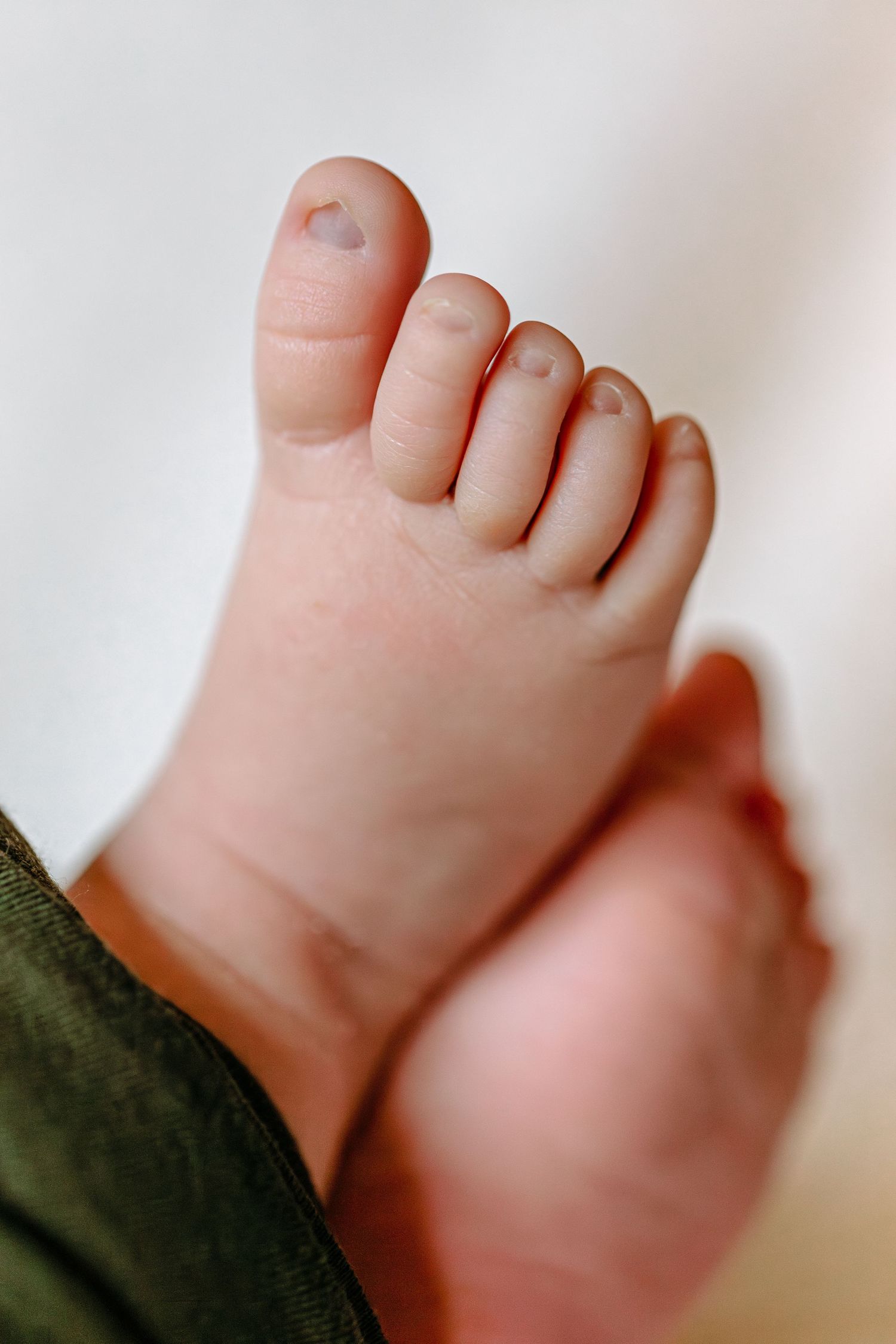 Close-up view of tiny baby toes against a soft white background.