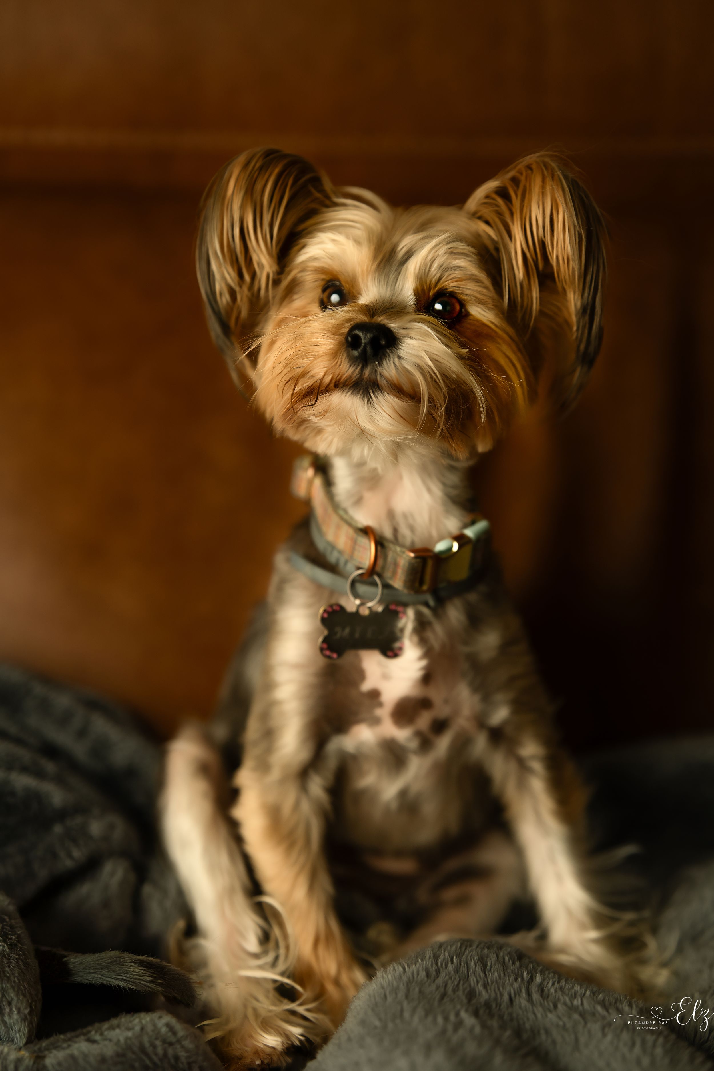 Mila, sitting on the couch, getting her picture take proudly in Pierre, South Dakota.