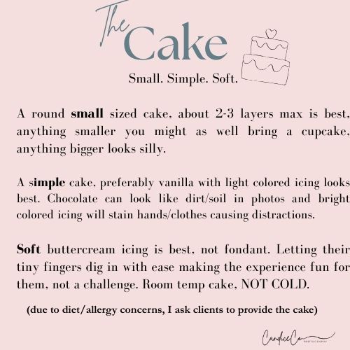 Hamilton County cake smash session information graphic