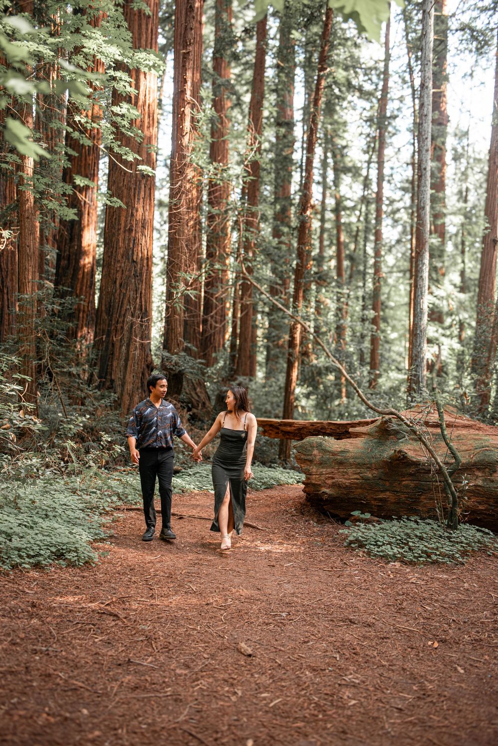 Couple holding hands walking through a tall redwood forest on a dirt path.