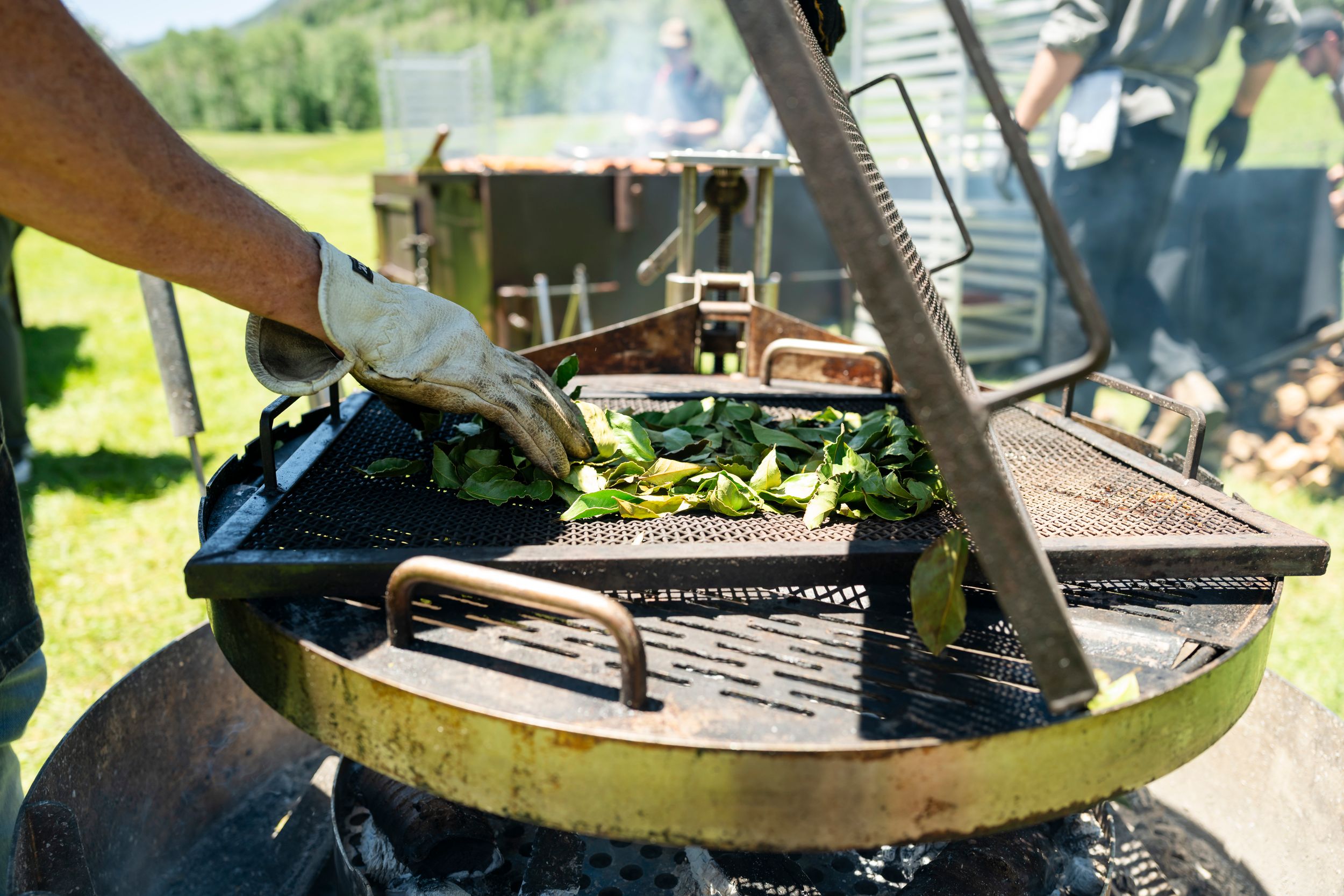 Multiple grills and smokers set up at outdoor cooking event.