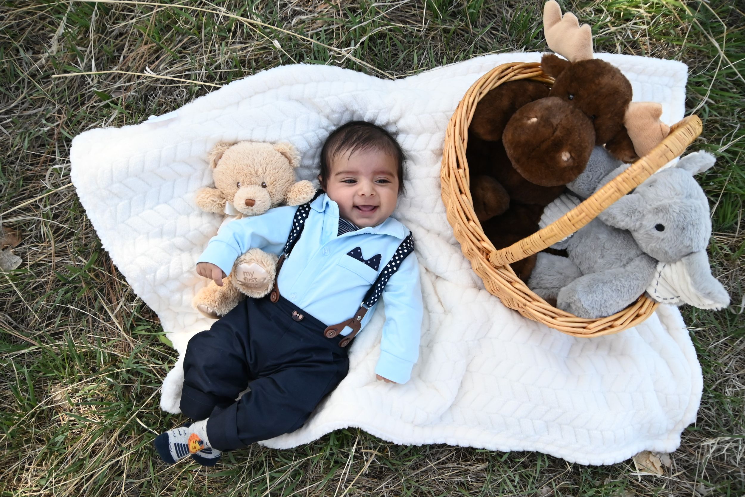 A series of outdoor photos showing a teddy bear and stuffed bunny arranged on a white blanket in grassy settings.