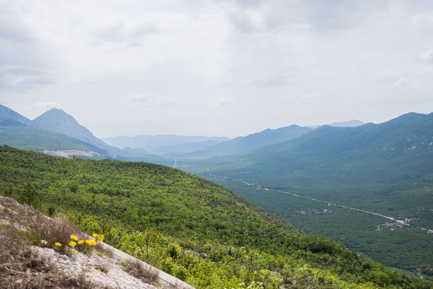 Scenic panoramic view of lush green mountains and valleys stretching towards a hazy horizon on a sunny summer day.