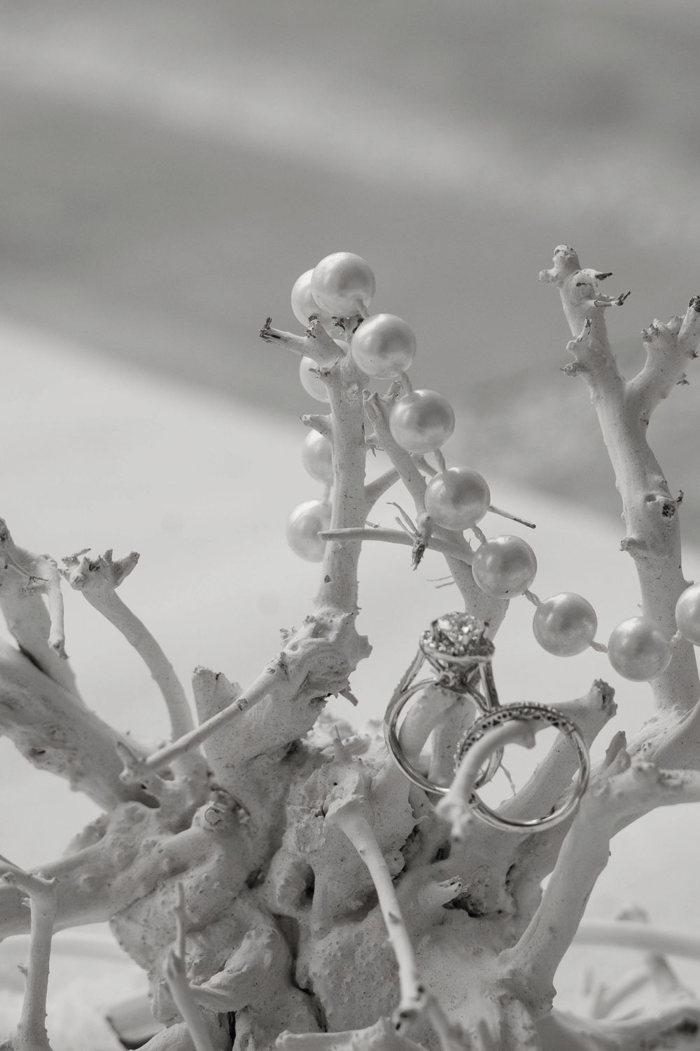 Black and white photo of diamond wedding rings hanging on white coral with pearl branches.