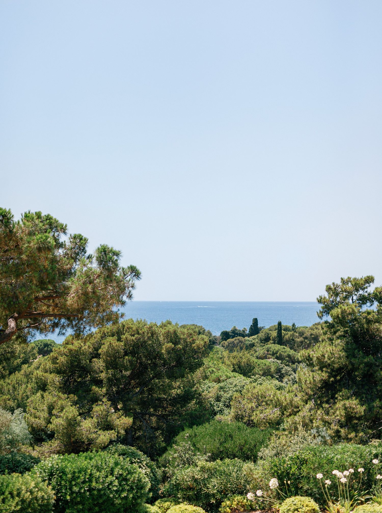 Scenic coastal landscape with lush green vegetation and Mediterranean trees overlooking the blue ocean horizon.