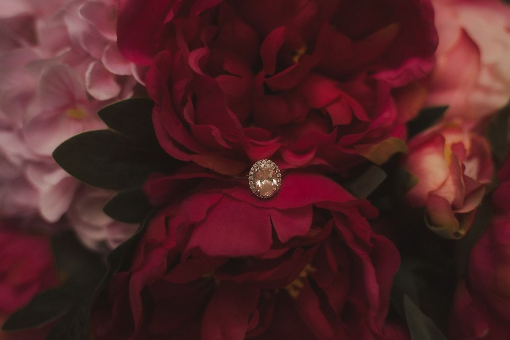Rich burgundy peonies bloom in full splendor against a romantic dark background.