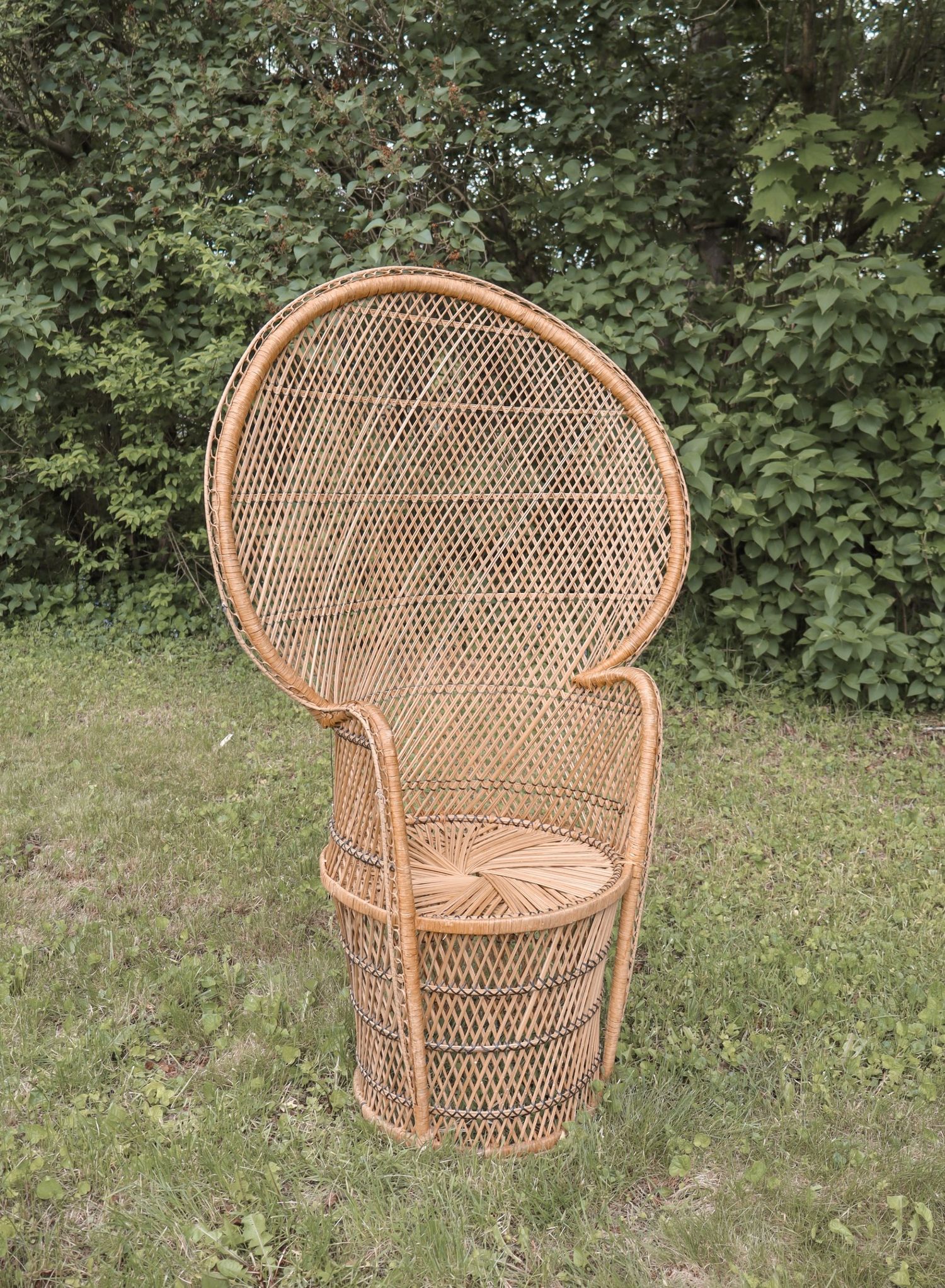Vintage wicker peacock chair with high fan back sits on green lawn with bushes in background.