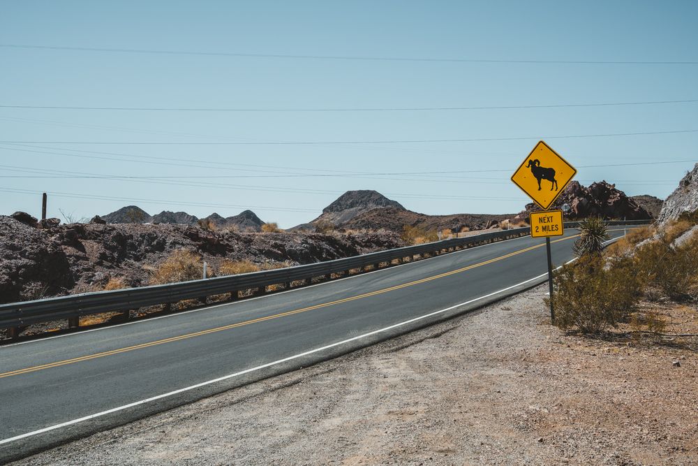 Desert highway with bighorn sheep warning sign against rocky mountain backdrop.