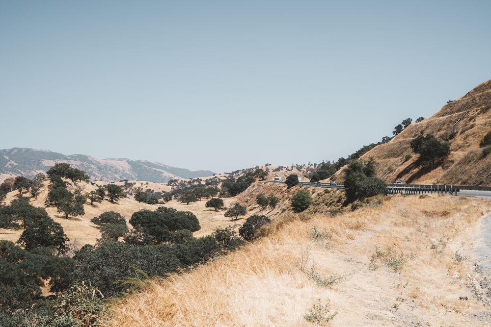 Panoramic view of dry grass-covered hills with scattered oak trees in Northern California.