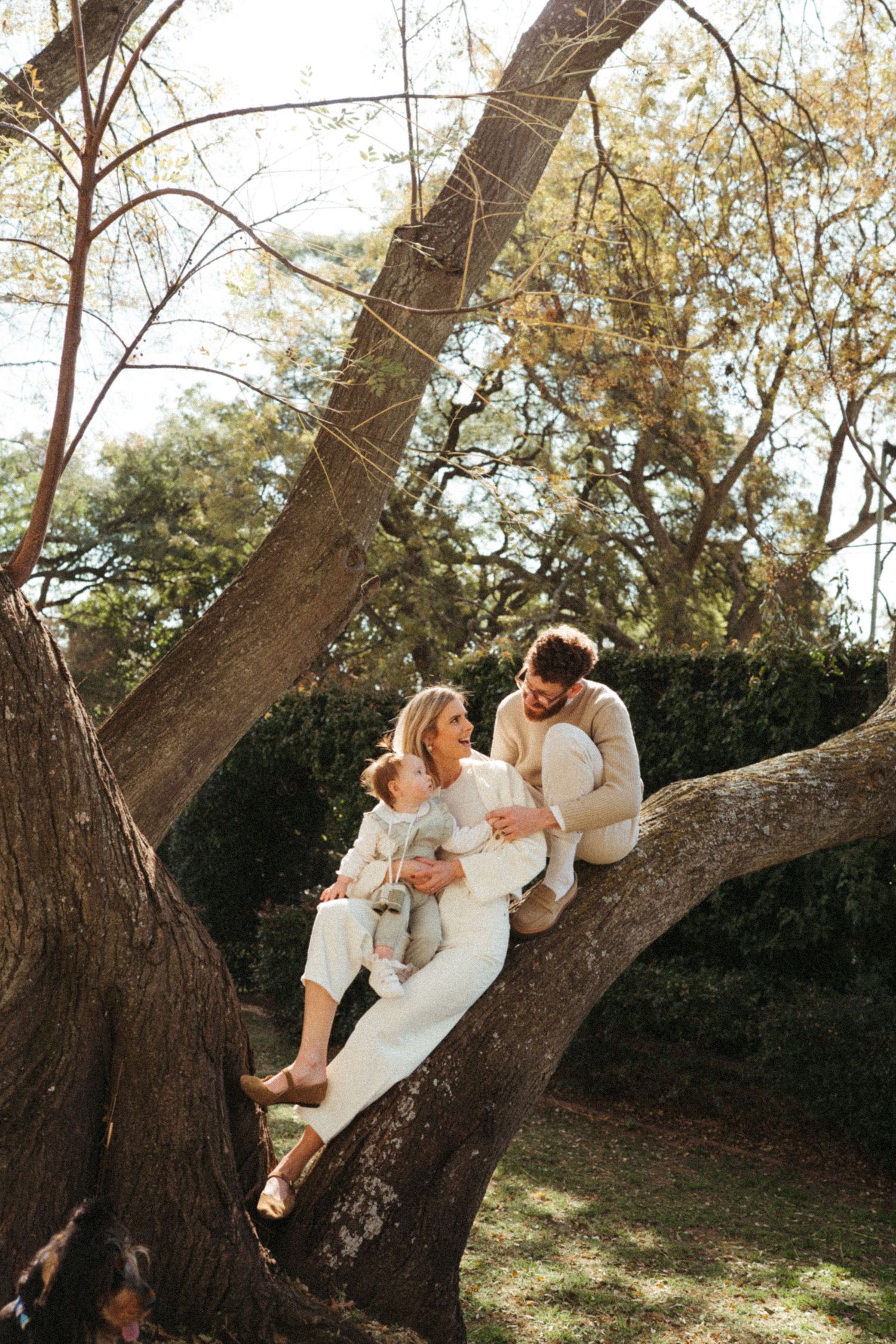 Family enjoying a relaxed moment together on a large tree branch.