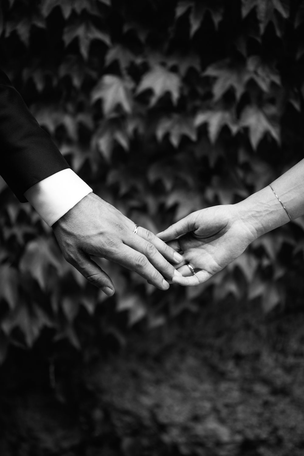 A black and white sequence showing two hands reaching for each other against a backdrop of leaves.