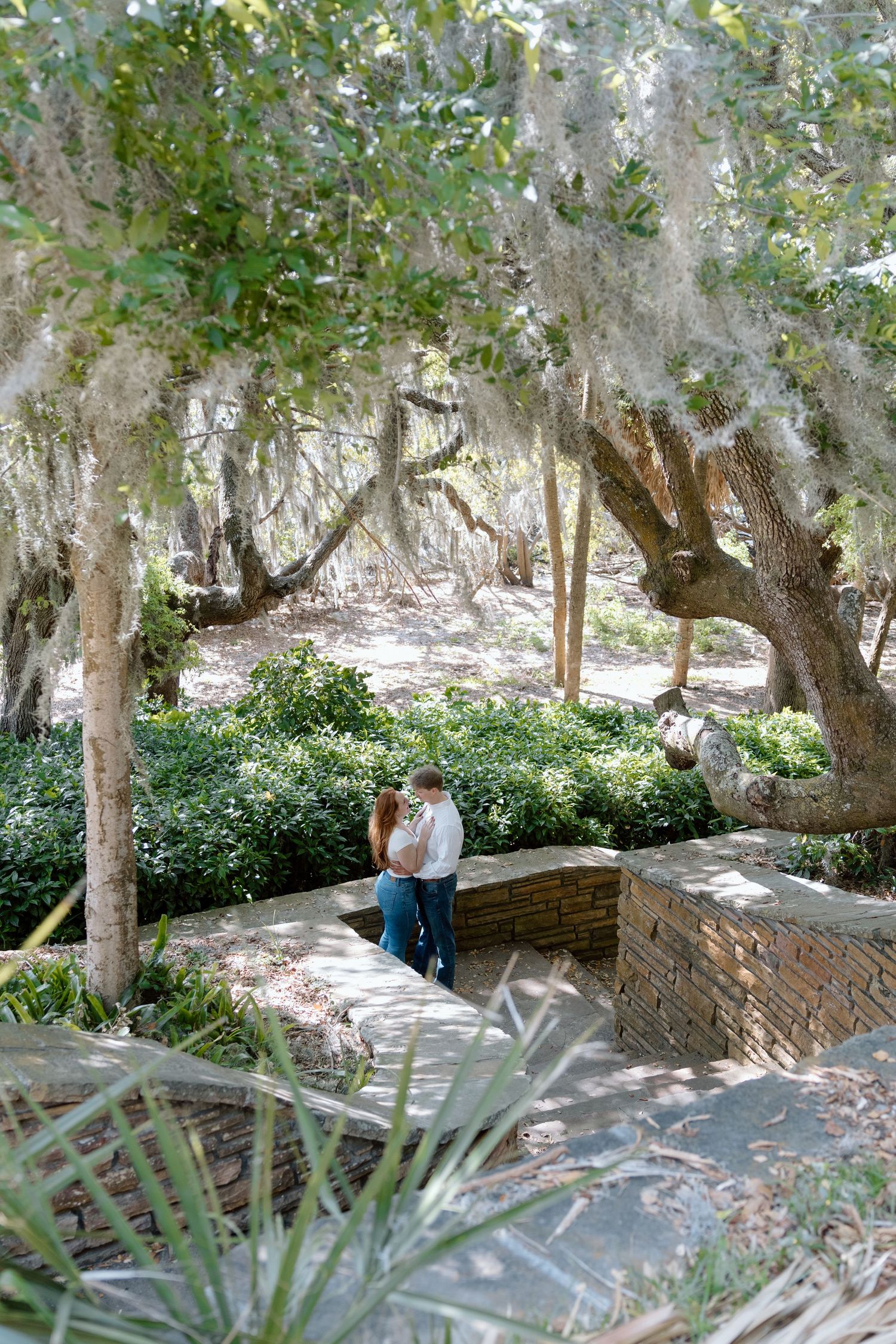 Romantic couple sits on a stone wall overlooking a waterfront path lined with palm trees and oak branches.