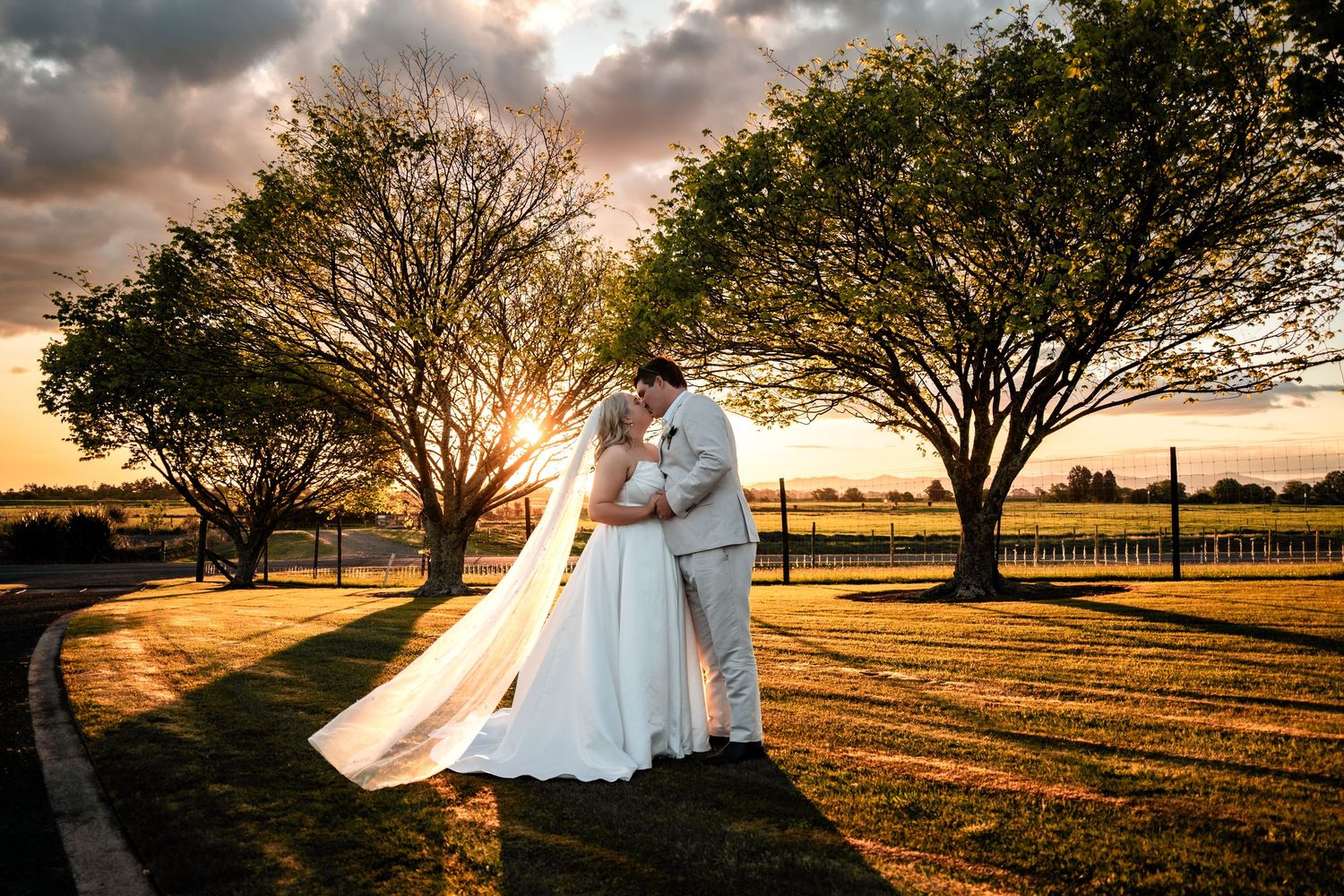 A couple embraces in a romantic sunset photoshoot under sprawling trees in a golden field.