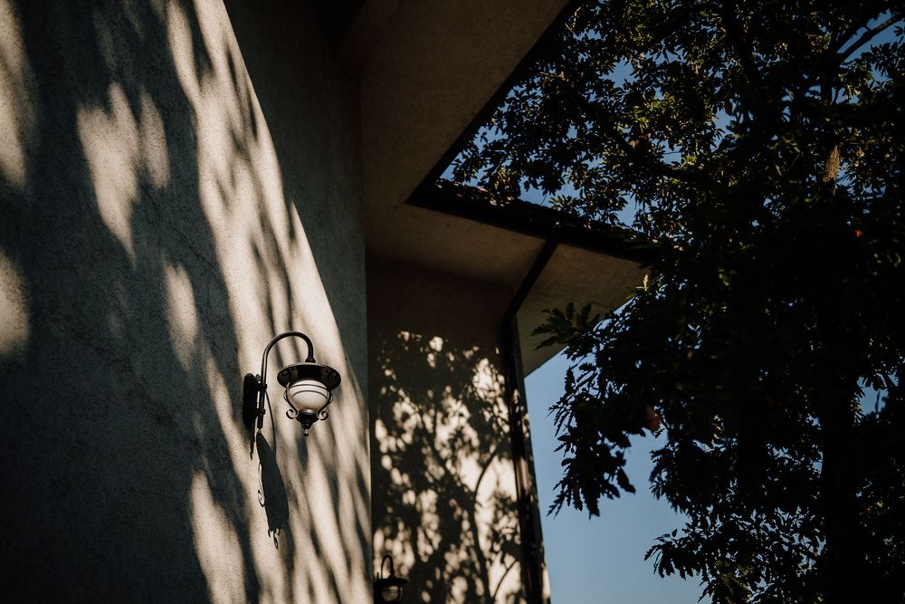 Sunlight and tree shadows cast dramatic patterns on a white exterior wall of a building.