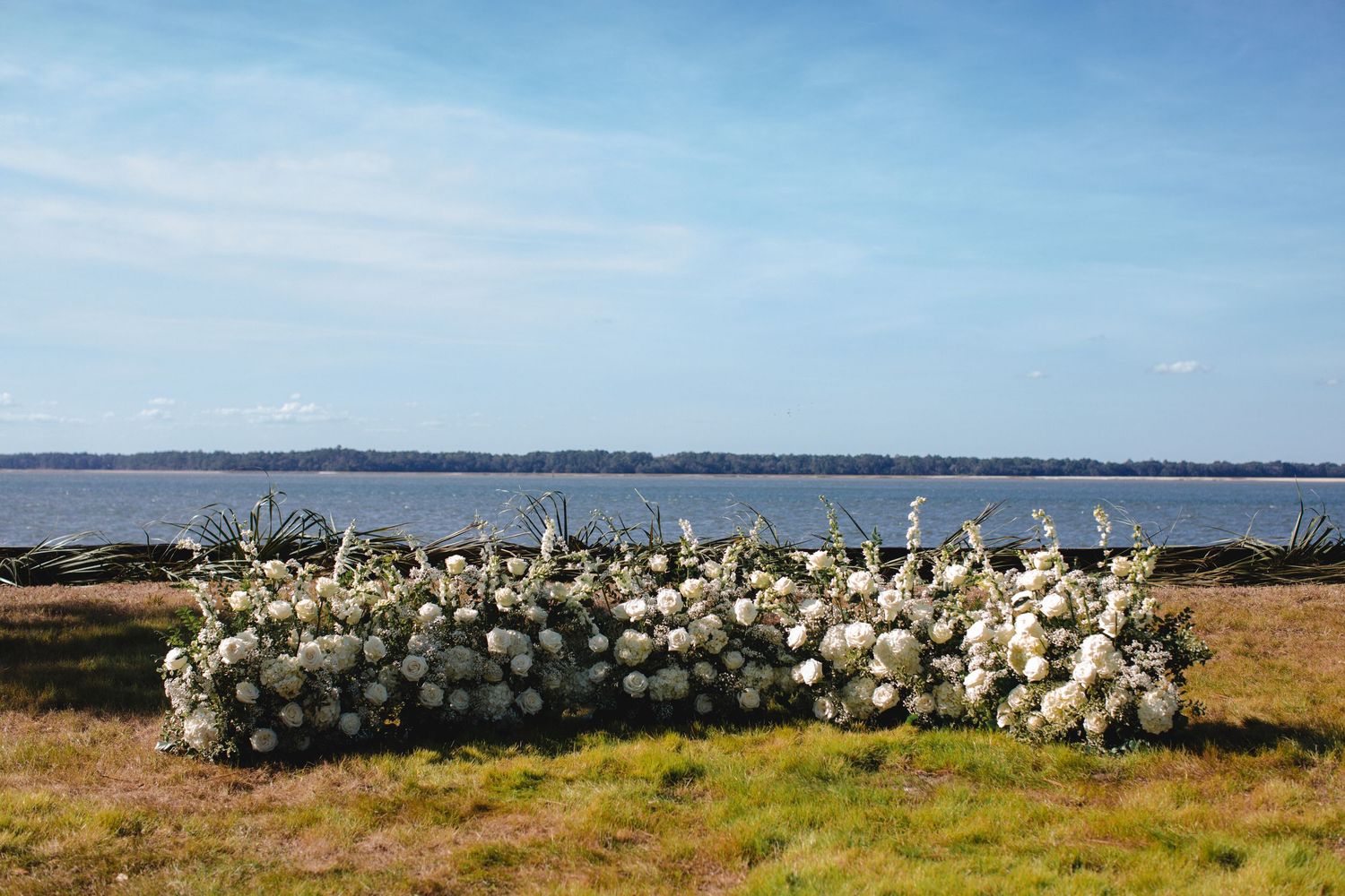 White hydrangea bushes bloom along the coastal shoreline against a calm blue sea and distant horizon.