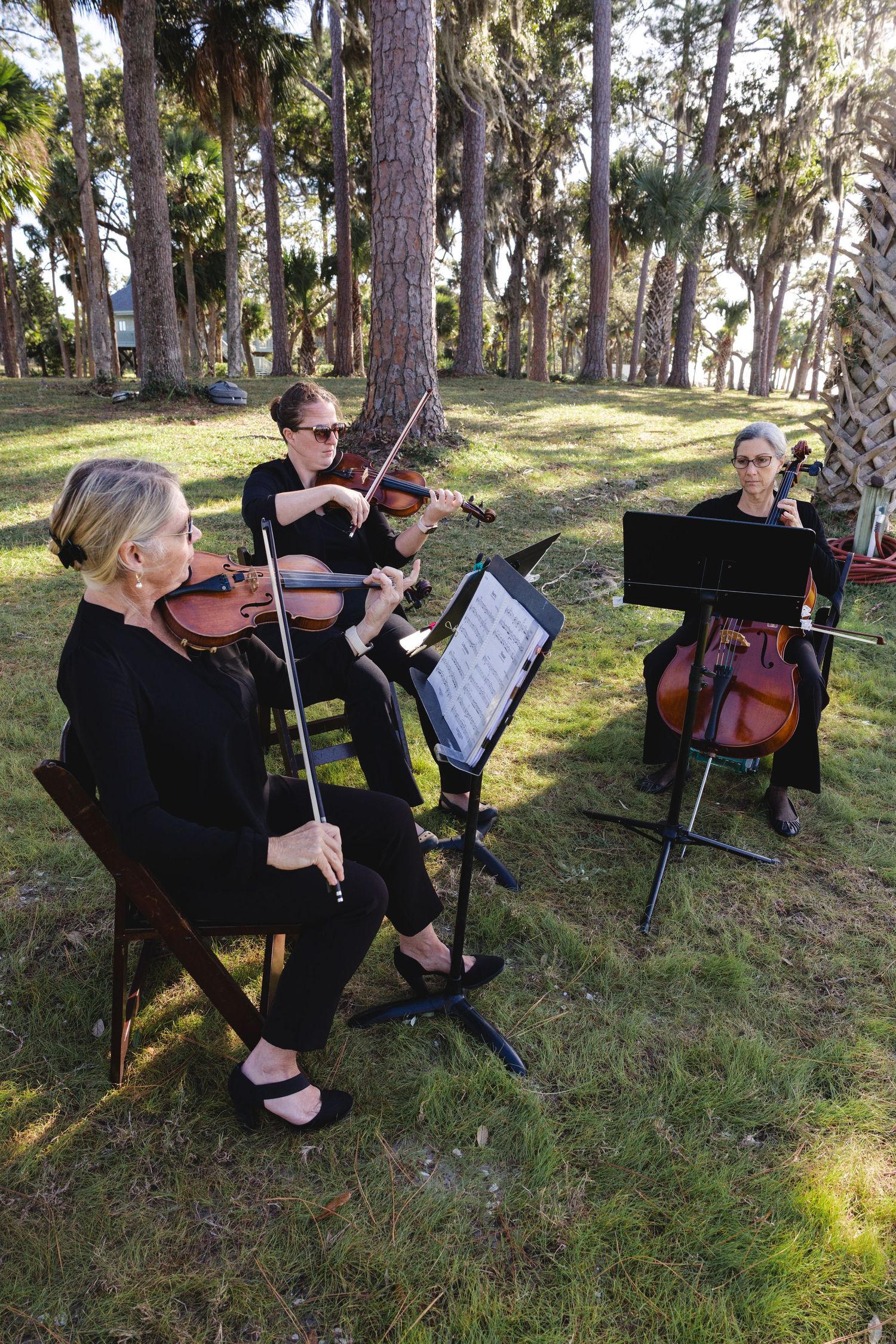 String quartet musicians perform outdoors in a scenic wooded area with music stands and instruments.