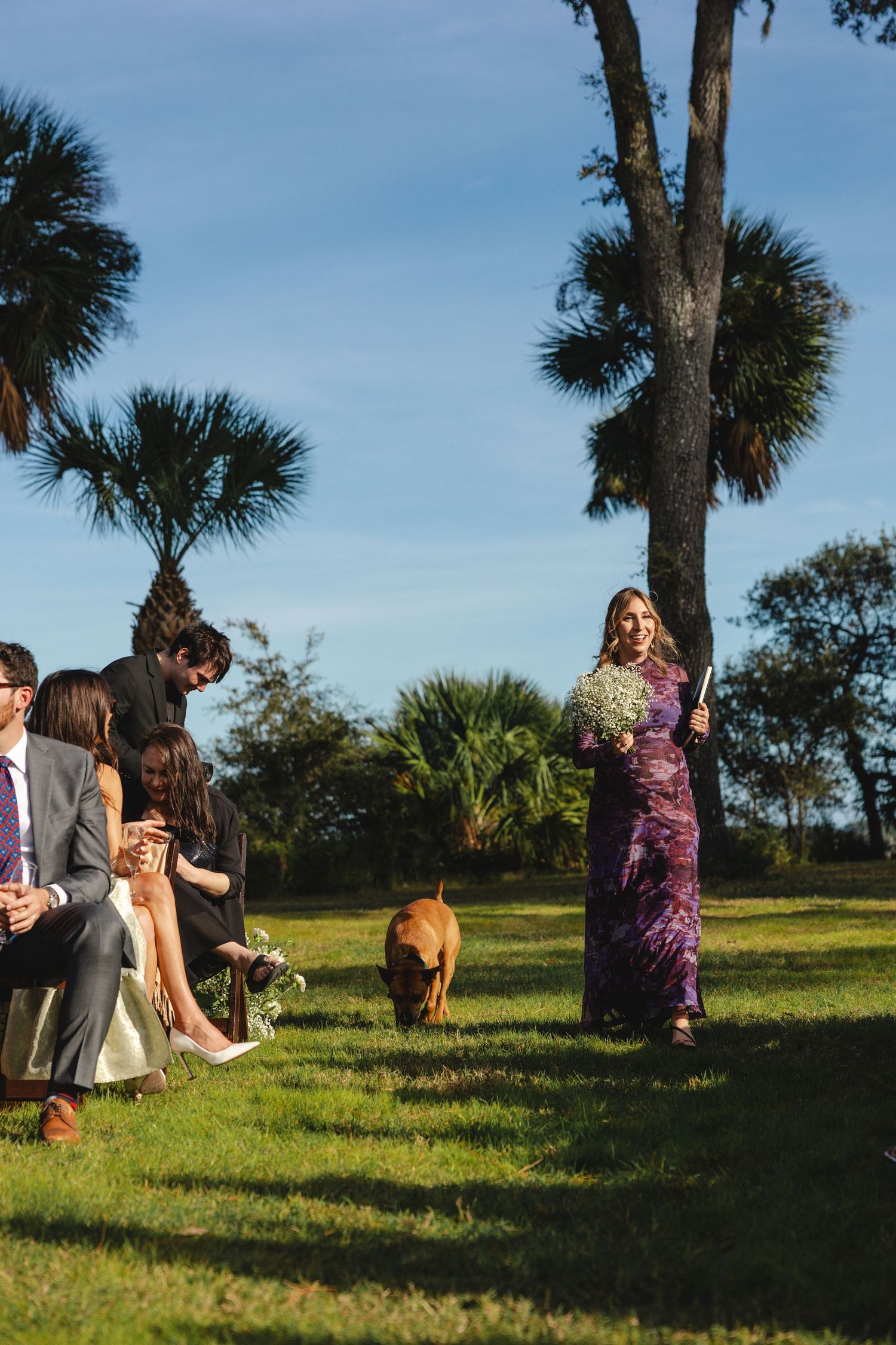A group gathers on a grassy hill with palm trees and blue sky during an outdoor celebration.