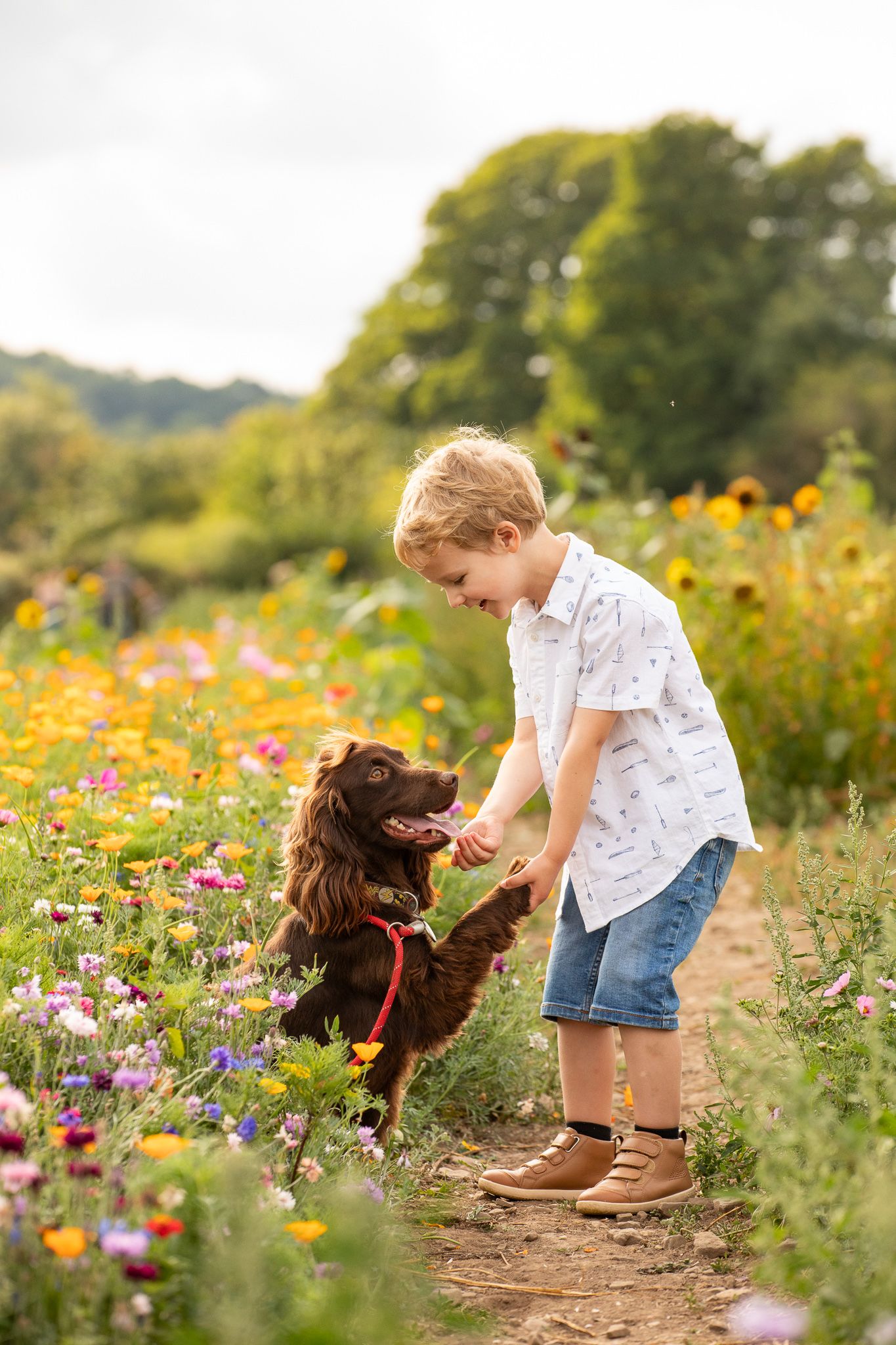 Young girl in denim overalls embraces a palomino horse in a sun-dappled forest setting.