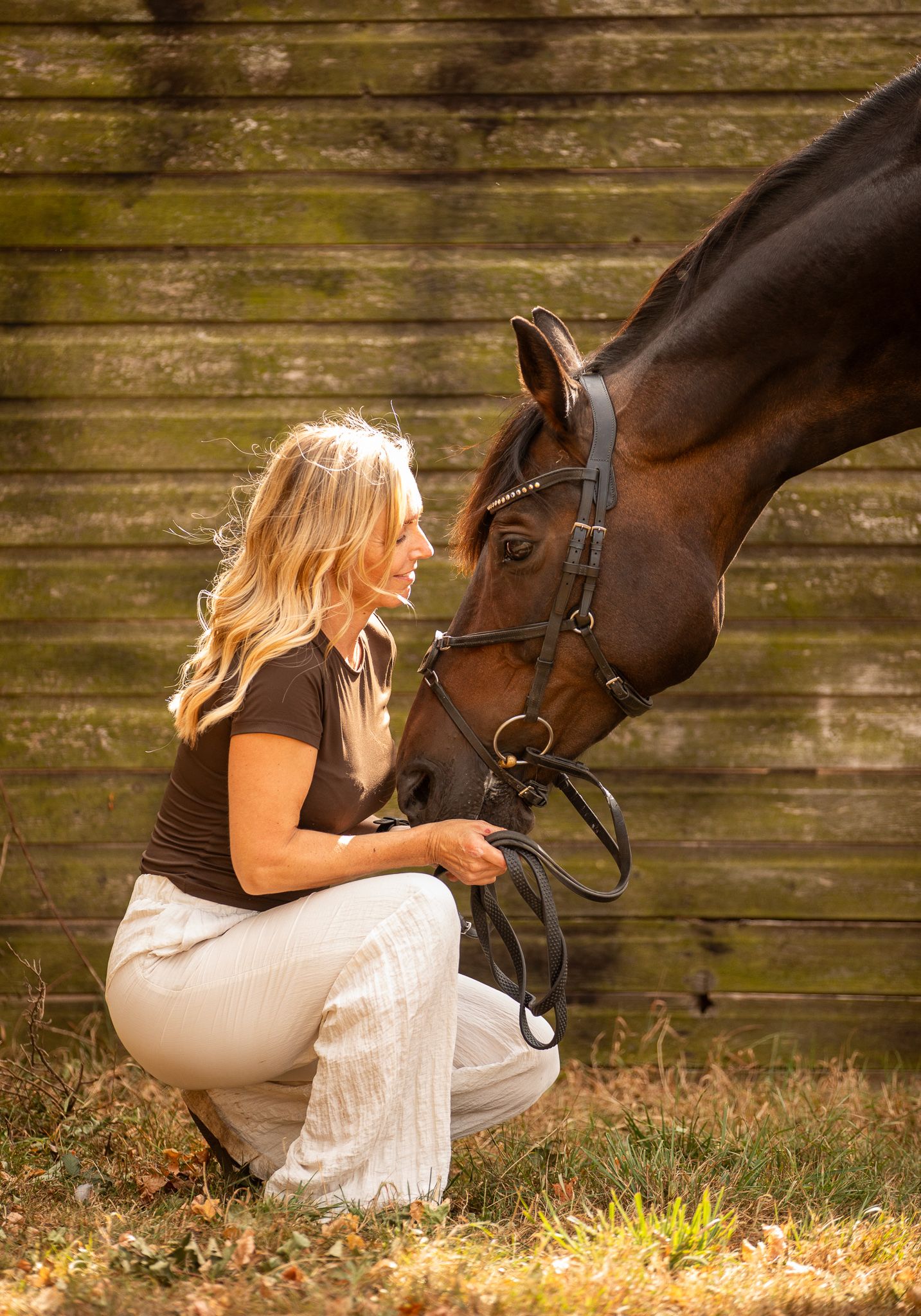 A large cream-colored draft horse and its companion pause together in a sunlit autumn forest.