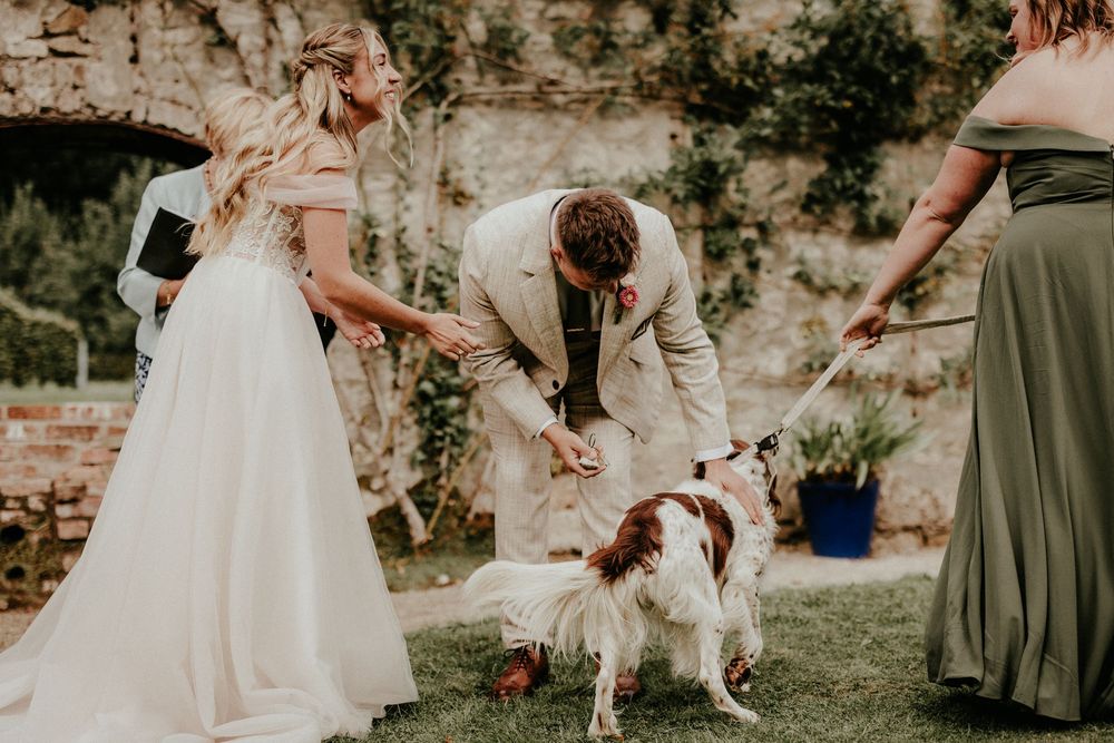 A group dances together outdoors in elegant attire during a joyful celebration on a sunny day. Cornwall wedding photographer