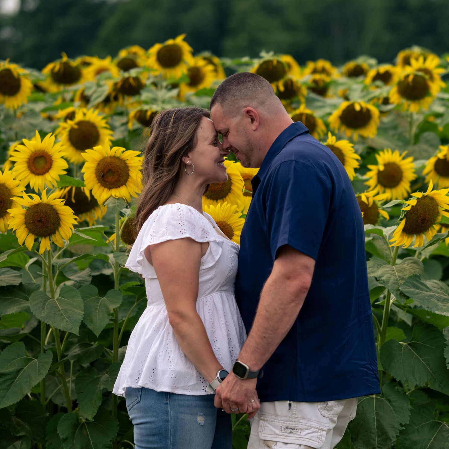 Romantic couple holding hands and touching foreheads in a vibrant sunflower field on a cloudy day.