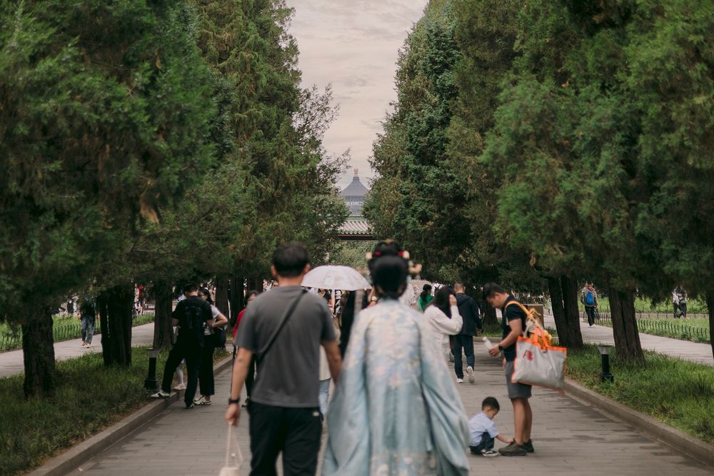 People walking down a tree-lined path in a Chinese park, with a woman in traditional hanfu dress leading the way.
