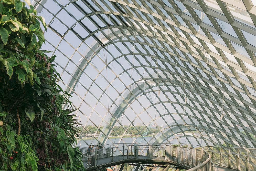 Interior of a large glass greenhouse dome with lush tropical plants and a walkway bridge overlooking a scenic view.