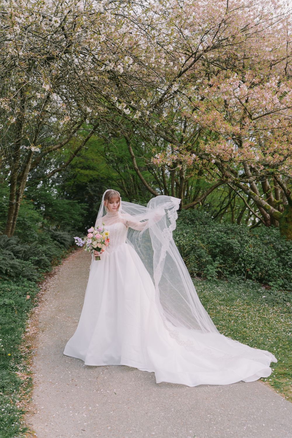 Bride in white ball gown with flowing veil walks garden path lined with blooming cherry blossom trees.