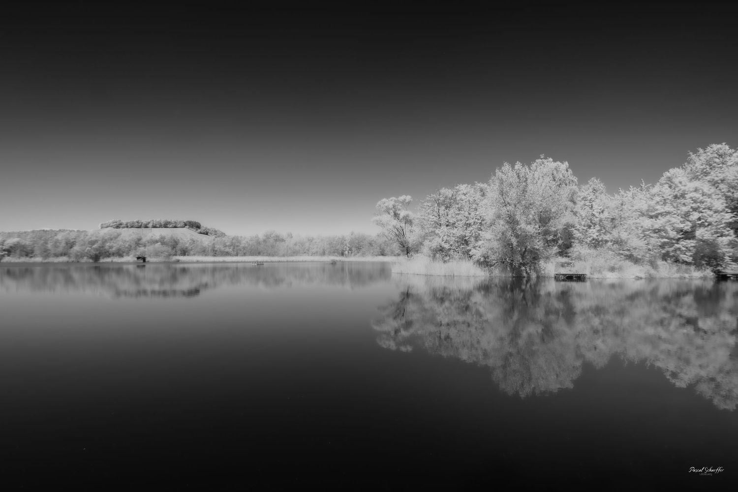Black and white infrared landscape photo of a calm lake with reeds, trees, and a small barn under a clear sky.