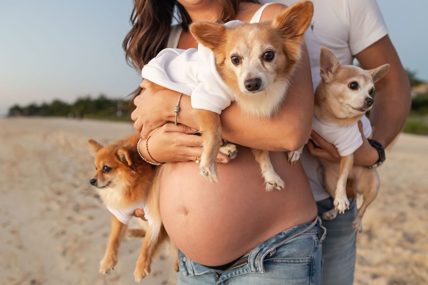 Pregnant woman holding dogs during a beach maternity photoshoot at sunrise in Playa del Carmen, Mexico.