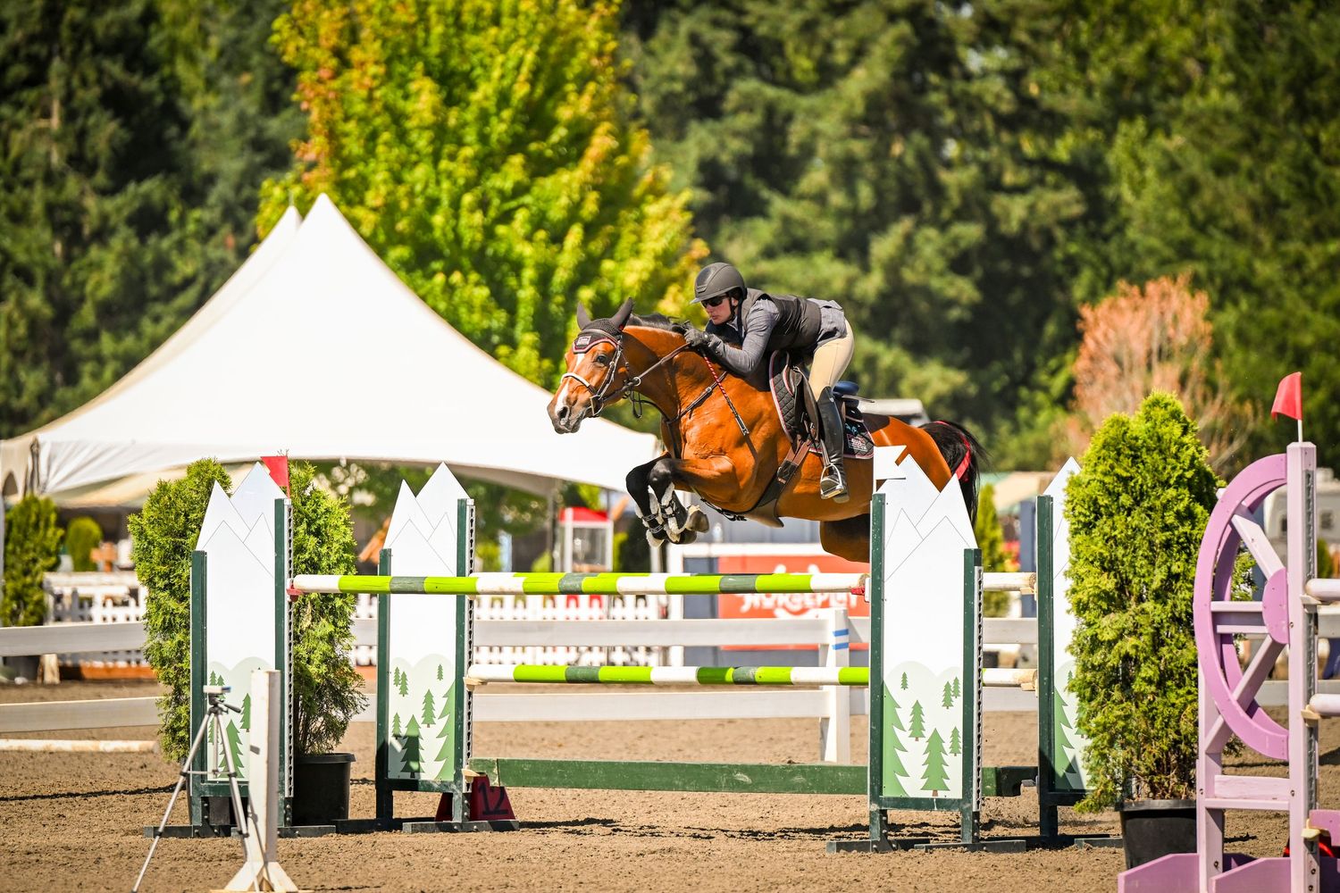 Smiling equestrian rider in black jacket and helmet riding a bay horse at an outdoor show jumping competition.