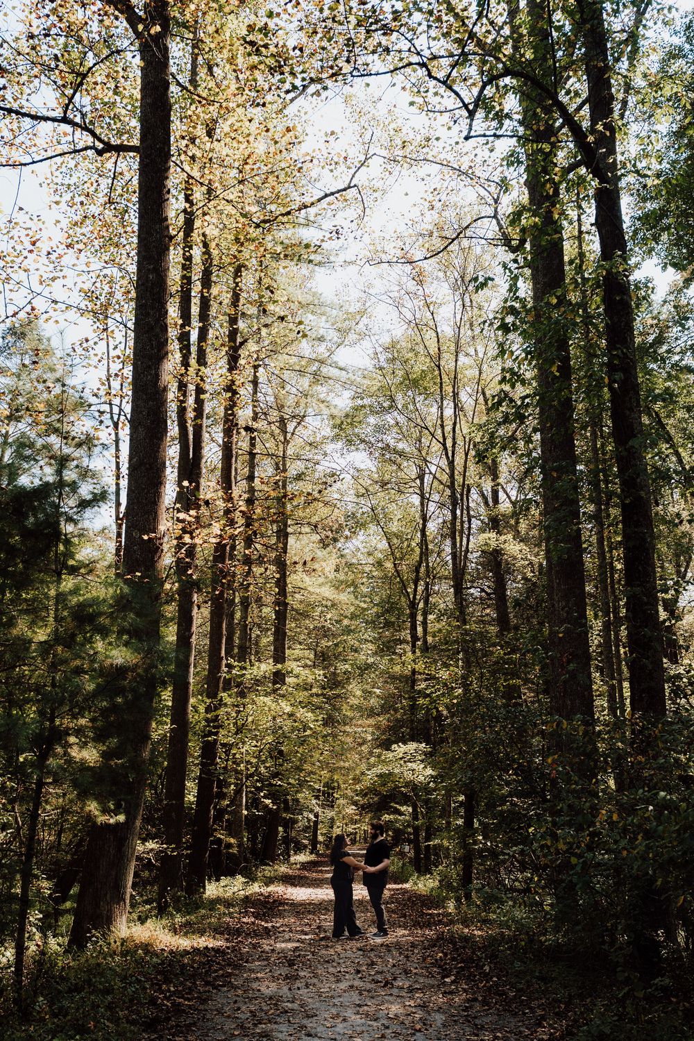 Couple holding hands on a sunlit forest path taking their engagement proposal shoot at fuller lake in central pa