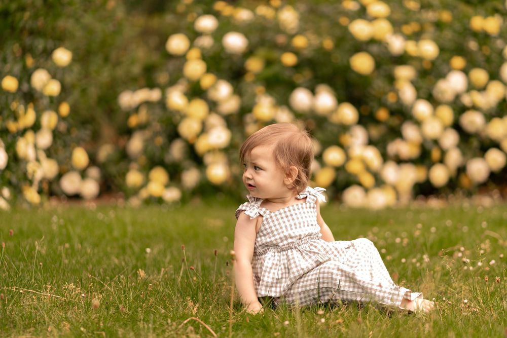 Toddler girl in gingham dress sitting on green grass with yellow flowering bushes in the background.