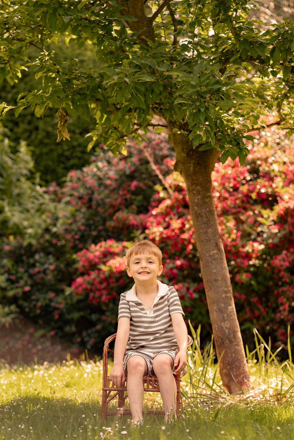 Young boy sitting on a wooden chair under a tree in a lush garden with red flowering bushes.