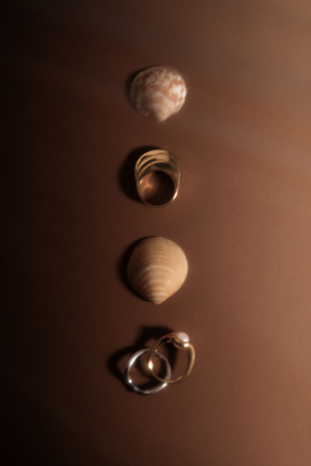 Vertical arrangement of seashells and rings casting dramatic shadows on brown background.