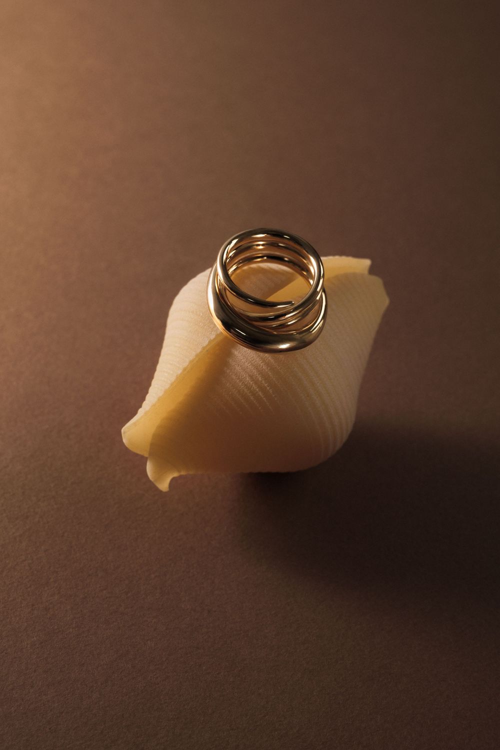 Gold spiral ring balanced on a white seashell against a dark brown background.