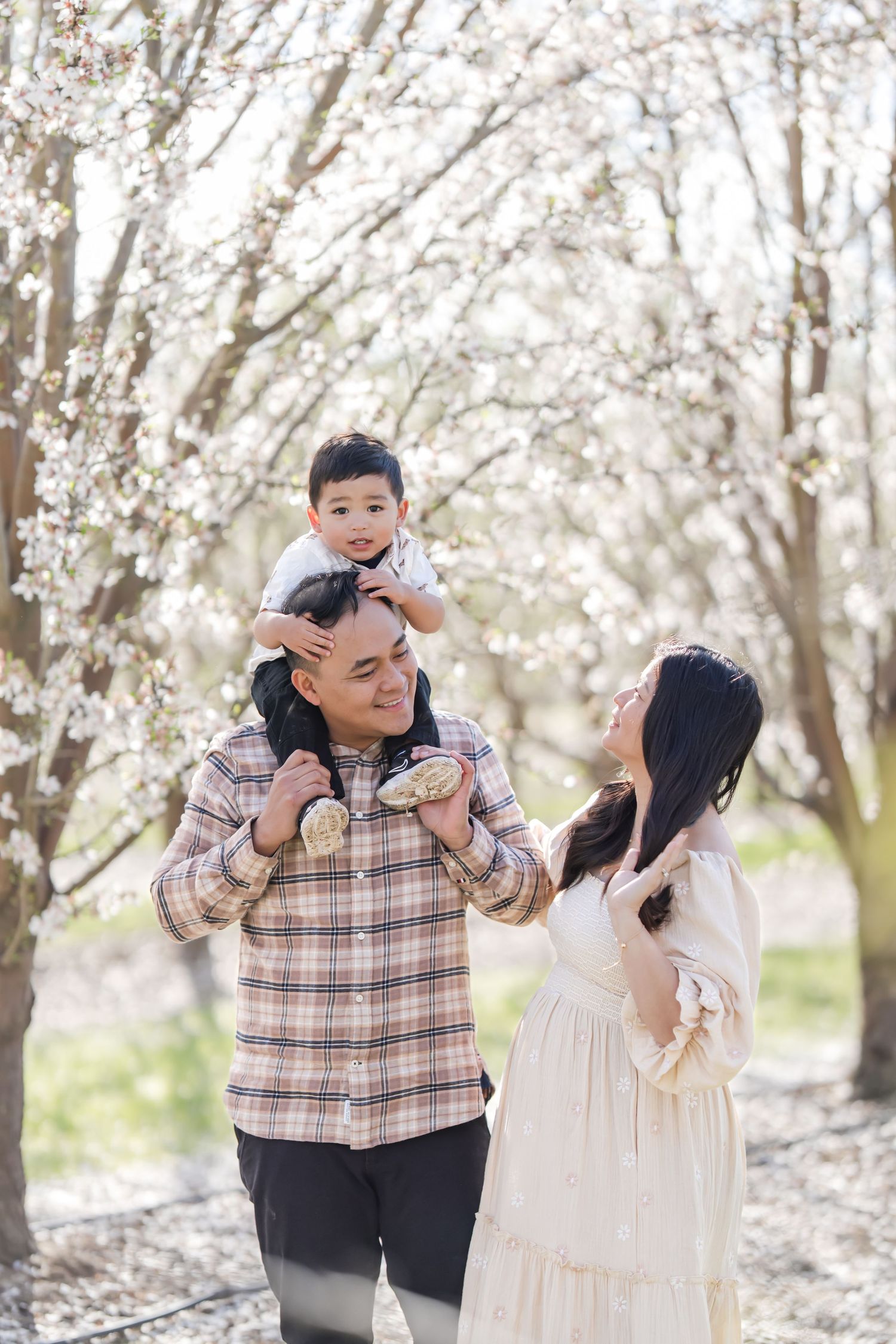 A romantic shot of a couple embracing under the cherry blossom trees, celebrating their journey to parenthood with a stunning spring backdro