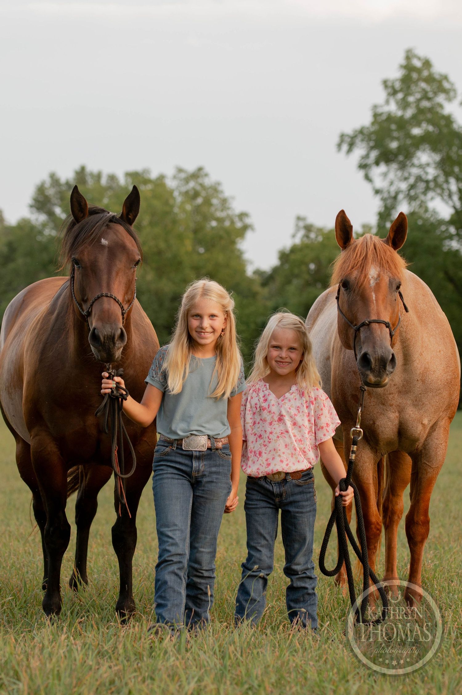 Two brown horses stand with their young companions in a grassy summer field.