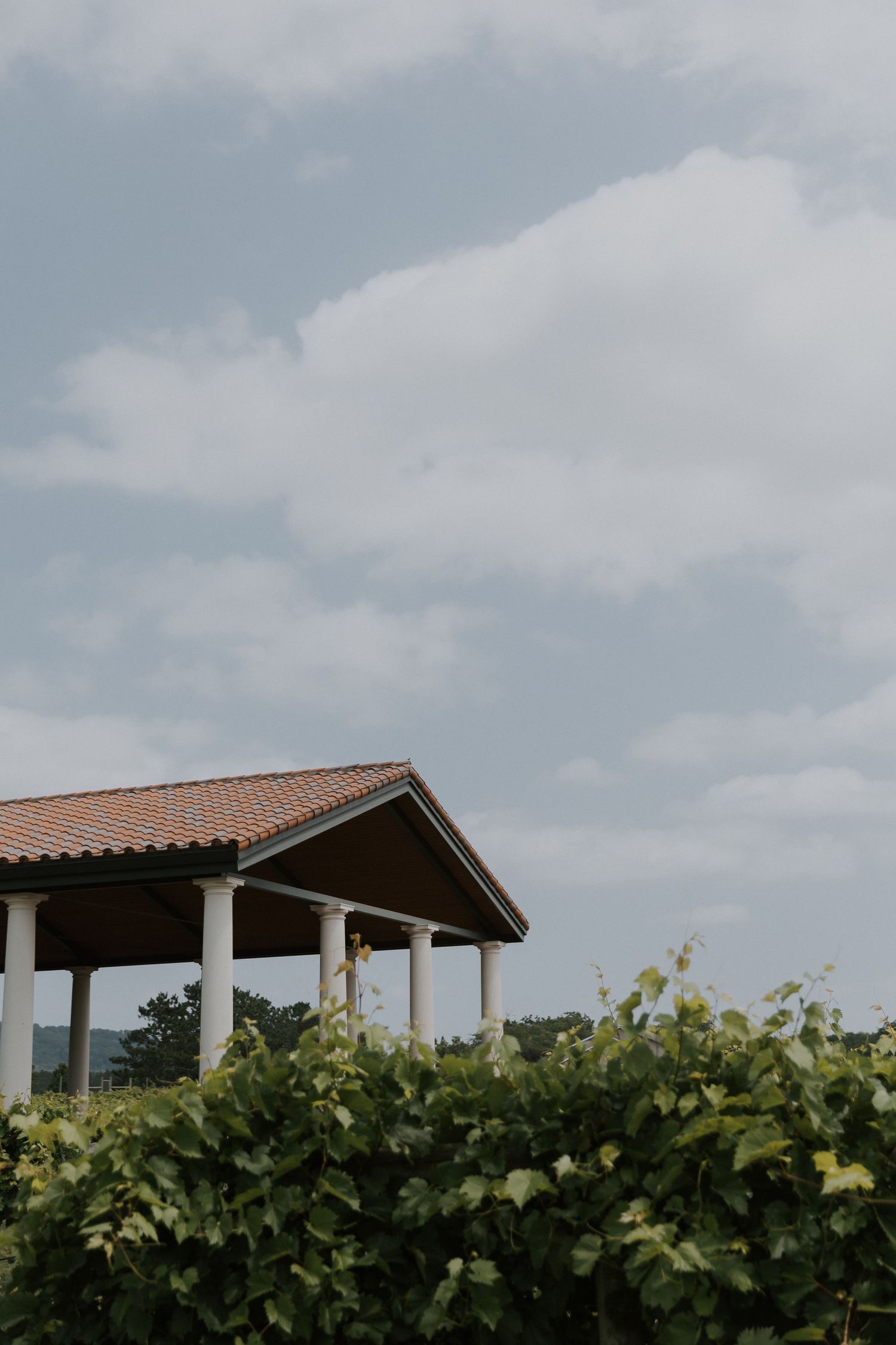 A rustic pavilion with terra cotta roof overlooking green Italian-looking vineyard under cloudy sky.
