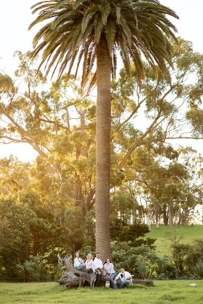 Minimalistic family photoshoot with four dogs and teenagers in the beautiful mangrove mountain setting in NSW
