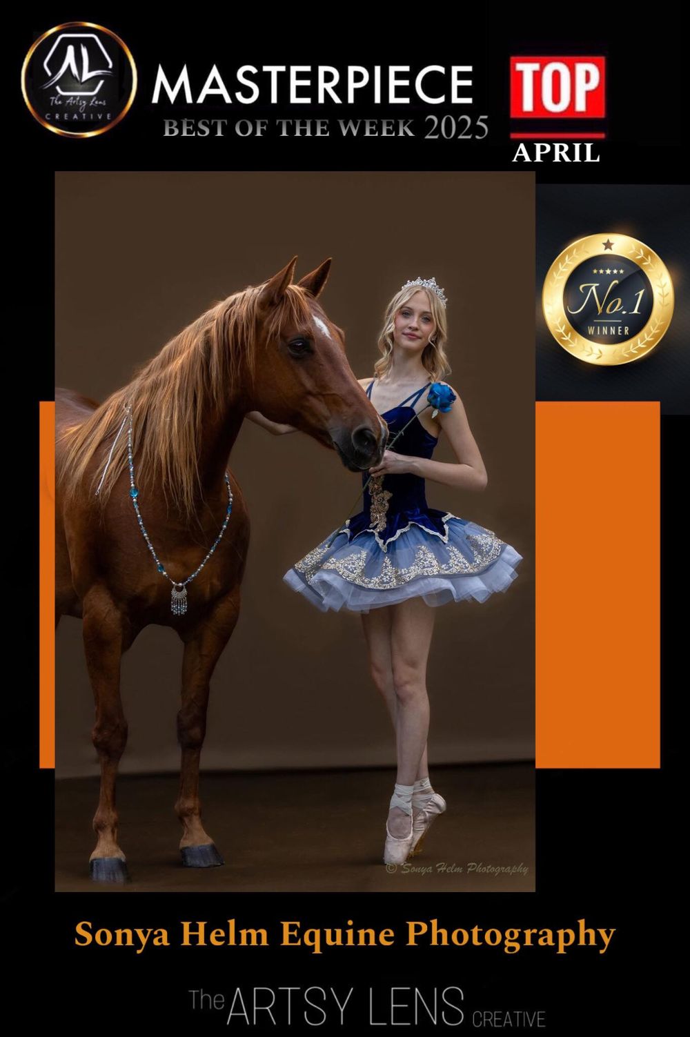 Award-winning equestrian photography in dramatic lighting against orange background.