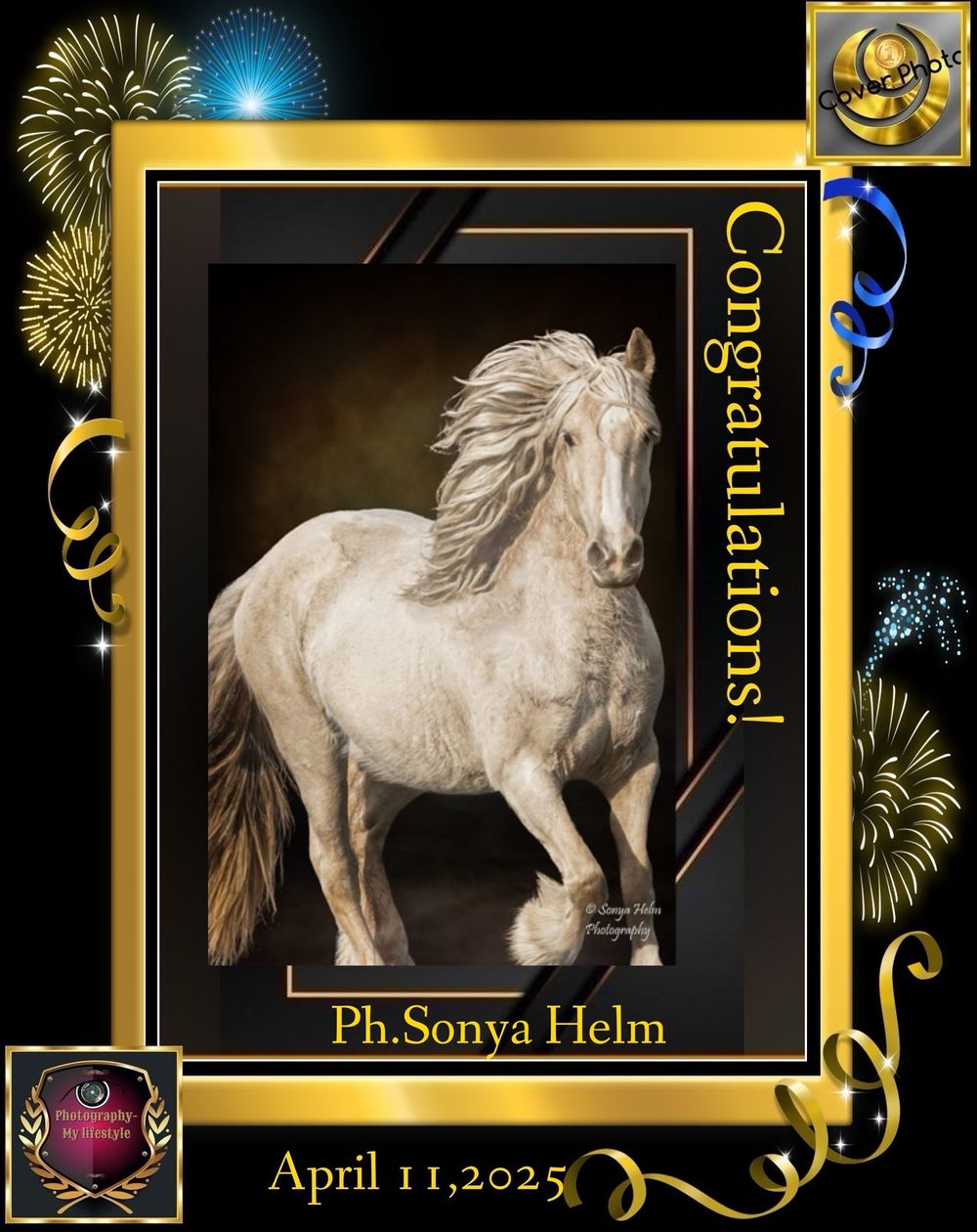 Decorative certificate frame featuring a white horse in motion against dark background.