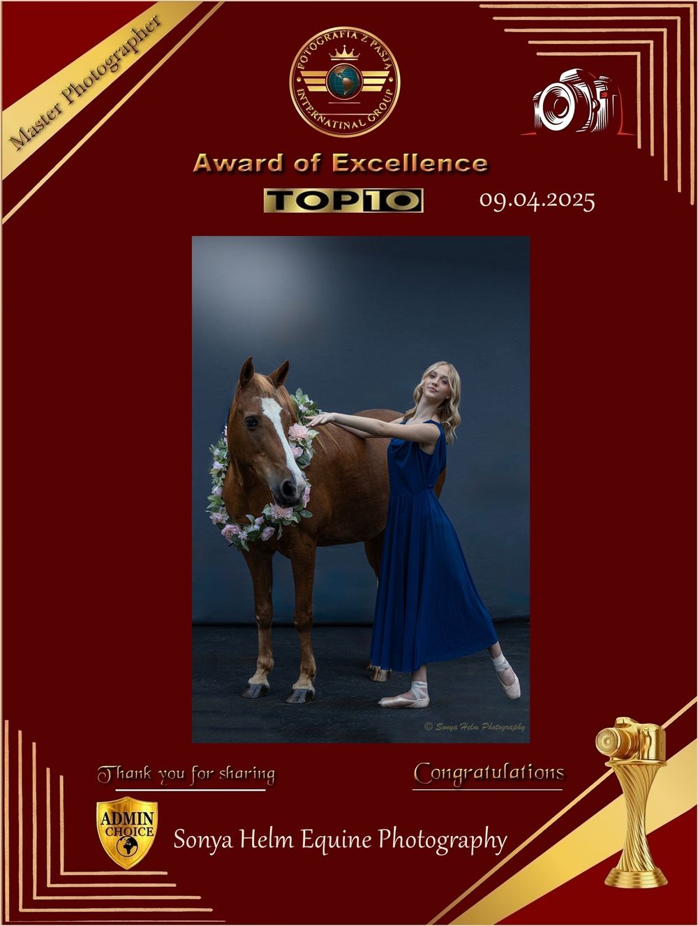 Award of Excellence certificate displaying artistic equine dance photography.