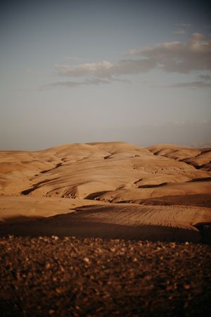 Desert landscape with rolling sand dunes under soft evening sky.