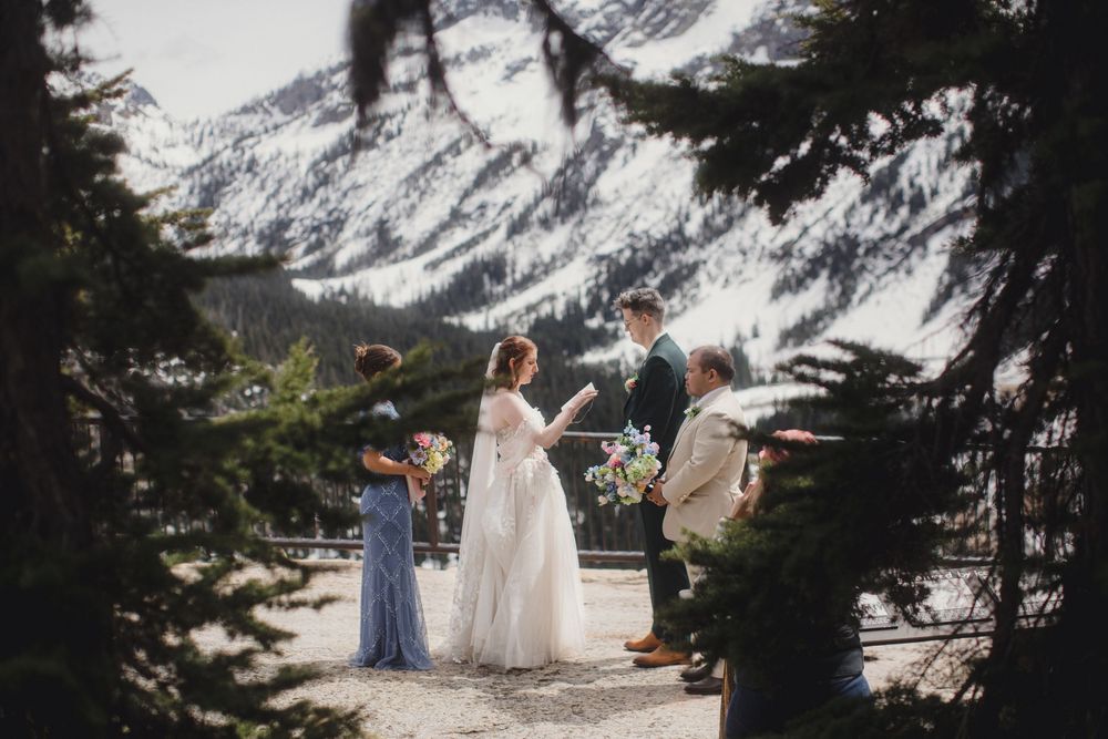 Wedding party stands together with snow-capped mountain peaks and evergreen trees creating a dramatic backdrop.