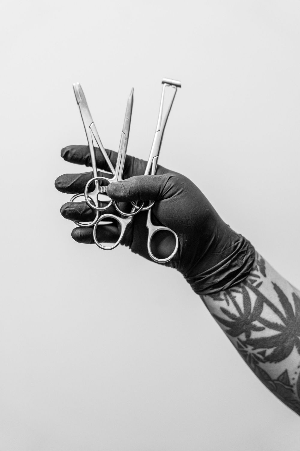 Tattooed hand in black glove holding multiple surgical steel piercing tools on white background. Jacksonville, NC